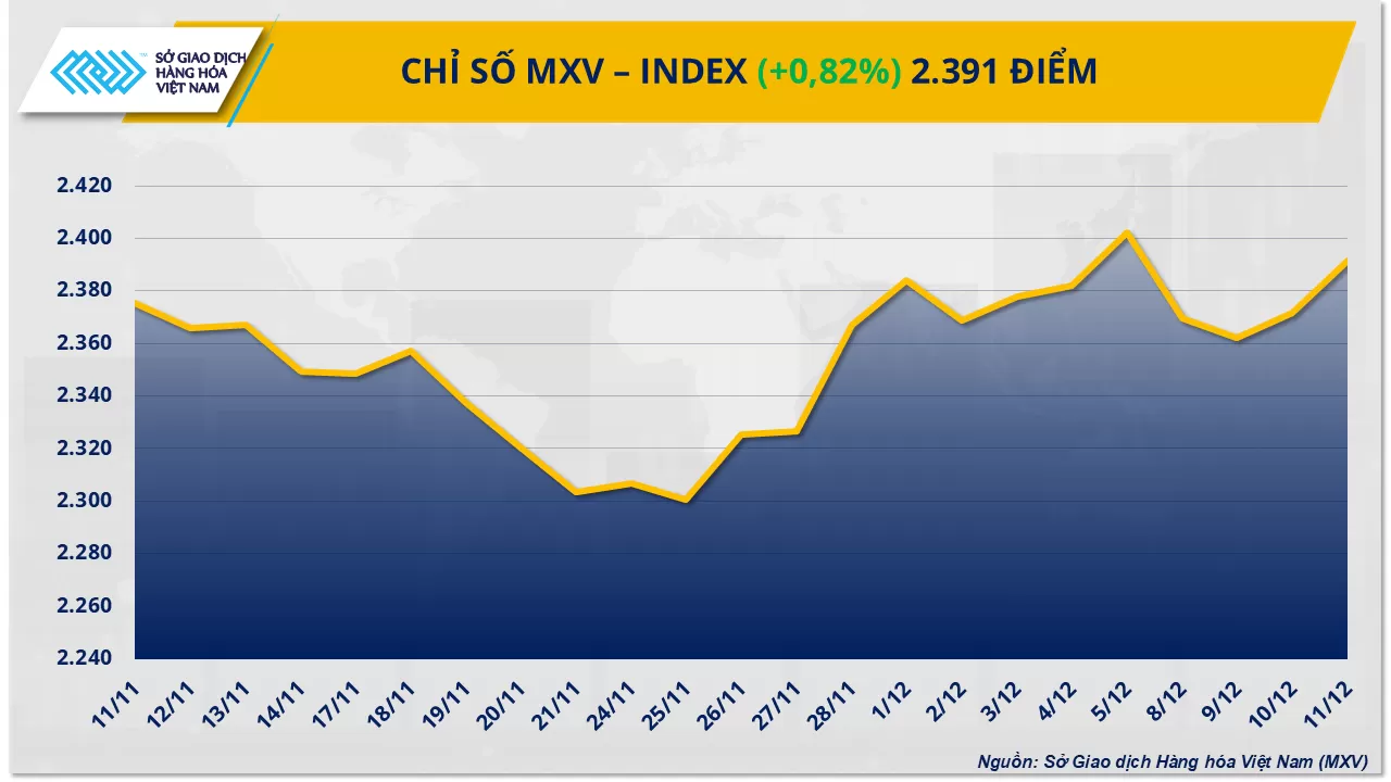 Bản tin MXV ngày 12/12/2025: Dòng tiền chảy mạnh vào thị trường hàng hóa: Bạc phá đỉnh, ca-cao tăng phiên thứ 5